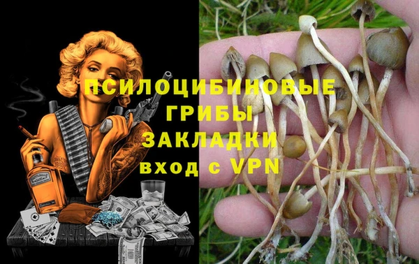 дживик Семилуки